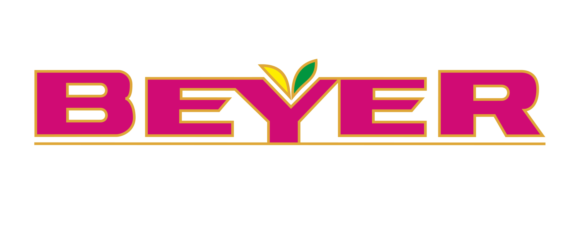 Logo de Beyer